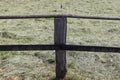 Beautiful wooden horse fence at an agricultural field