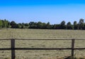 Beautiful wooden horse fence at an agricultural field Royalty Free Stock Photo