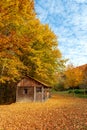 Beautiful wooden house during fall peak season