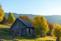 Beautiful wooden house during fall peak season