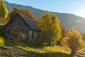 Beautiful wooden house during fall peak season