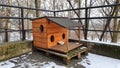 Beautiful wooden kennel for homeless cats
