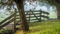 Beautiful wooden meadow fence under pollard willows