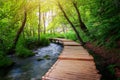 Beautiful wooden path in Plitvice Lake, Croatia Royalty Free Stock Photo