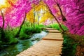 Beautiful wooden path in Plitvice Lake, Croatia Royalty Free Stock Photo