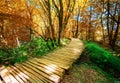 Beautiful wooden path in Plitvice Lake, Croatia. Royalty Free Stock Photo