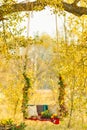 Beautiful wooden swing decorated with a blanket, leaves and flowers, hanging on a tree in autumn garden. Concepts of romance, Royalty Free Stock Photo