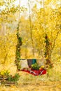 Beautiful wooden swing decorated with a blanket, leaves and flowers, hanging on a tree in autumn garden. Concepts of romance, Royalty Free Stock Photo