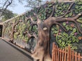 Beautiful Wooden tree art on Wall