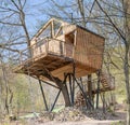 Beautiful wooden treehouse built in a park