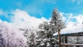 Beautiful woodland tree with small hut covered in snow, Zao moutain Sendai Japan Royalty Free Stock Photo