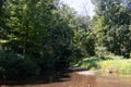 Beautiful woodsy area with stream running through