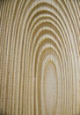 Woody background. wooden boards with divorces and relief. Woody texture for background.