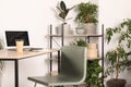 Beautiful workplace with laptop on wooden table, chair and houseplants in room