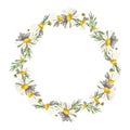 Beautiful wreath of field daisies. Rustic decor.