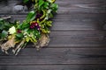 Beautiful wreath made of flowers and leaves on wooden table, top view. Space for text Royalty Free Stock Photo