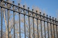 Beautiful wrought fence. Image of a decorative cast iron fence. metal fence close up. Metal Forged Fence