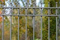 Beautiful wrought fence. Image of a decorative cast iron fence. metal fence close up. Metal Forged Fence.