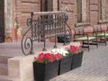 Beautiful wrought iron handrail and flowers in large pots