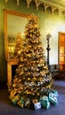 Bright luxurious ornate Christmas Tree in the Royal Pavilion.