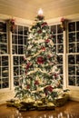 Beautiful xmas tree at night Royalty Free Stock Photo