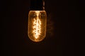 Ambient light bulbs Royalty Free Stock Photo