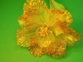 Yellow artificial flower on green background