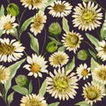 Beautiful yellow and beige daisy flowers with green leaves on deep brown background. Seamless spring pattern.