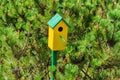 Beautiful yellow birdhouse