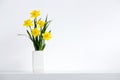 Beautiful yellow bunch of blossoming narcissus flowers in white vase on white nature background, space for text. Royalty Free Stock Photo