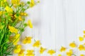 Beautiful yellow Buttercup bouquet lying on white wooden boards.