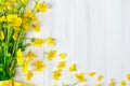 Beautiful yellow Buttercup bouquet lying on white wooden boards.