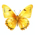 beautiful yellow butterfly clipart illustration