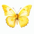 beautiful yellow butterfly clipart illustration