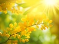 beautiful yellow cassia flowers in the forest, Ai Generated