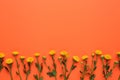 Beautiful yellow chrysanthemum flowers on orange background, flat lay. Space for text Royalty Free Stock Photo