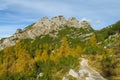 Beautiful yellow colors of autumn forest in the mountains Royalty Free Stock Photo