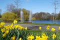 Beautiful yellow daffodils flowers in Dutch park with view of fountains in background at Zuiderpark