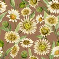 Beautiful yellow daisy flowers with green leaves on light brown background. Seamless spring pattern. Watercolor painting. Royalty Free Stock Photo