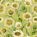 Beautiful yellow daisy flowers with green leaves on light green background. Seamless spring pattern. Watercolor painting.