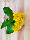 Beautiful yellow dandelions in a vase on the table, spring flowers, clear weather.