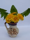 Beautiful yellow dandelions in a vase on the table, spring flowers, clear weather.