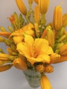 Beautiful yellow daylilies in a vase on a white background Royalty Free Stock Photo