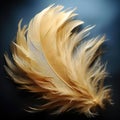Beautiful yellow feather with dark background and concise brushwork
