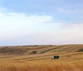 Beautiful yellow fields in the sun and a combine harvester working on the fields Royalty Free Stock Photo