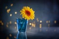 Beautiful yellow flower in blue vase at bokeh  background, Royalty Free Stock Photo