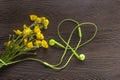 Beautiful yellow flower and headphones on wood bckground