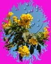 Beautiful yellow flower l and bubbles vector background