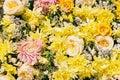 Beautiful yellow flowers background. Aster, chrysanthemum and rose flowers. Top view Royalty Free Stock Photo