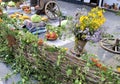 Beautiful yellow flowers green leaf garden still life botany agriculture market